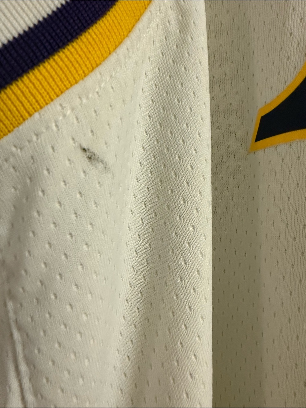 Los Angles Lakers LeBron James Nike Jersey NBA Basketball - Picture 8 of 9